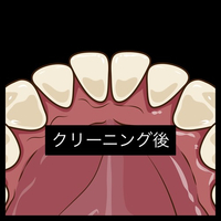 画像392