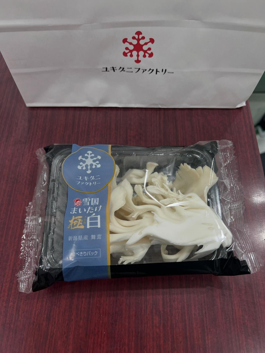 画像482