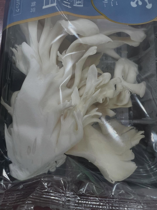 画像483