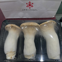 画像484