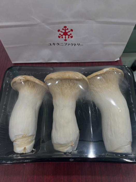 画像484