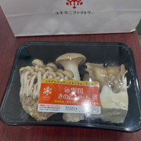 画像485