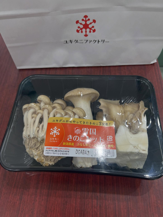 画像485