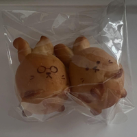 画像507