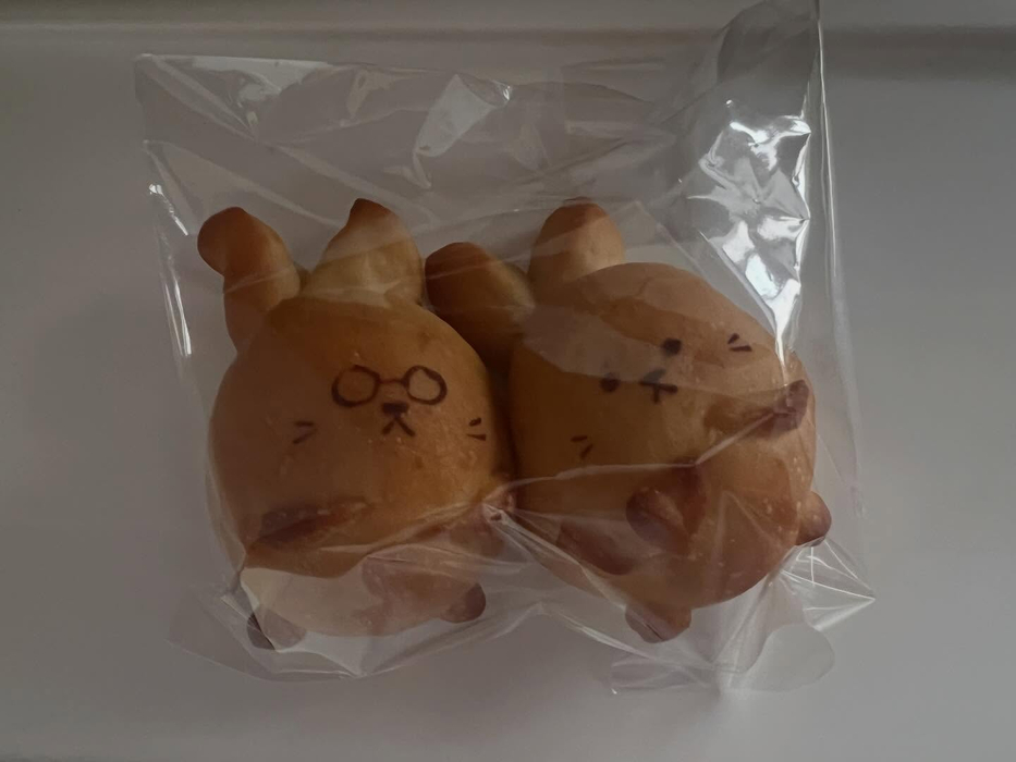 画像507