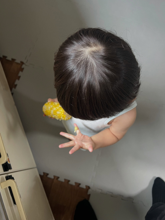 画像547